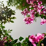 אדום 179, דירות נופש